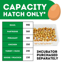 Load image into Gallery viewer, HB350 H - Egg Incubator - Hatcher

