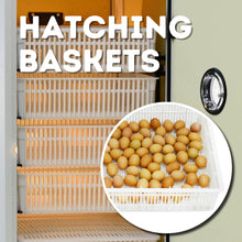 Load image into Gallery viewer, HB350 H - Egg Incubator - Hatcher

