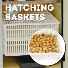 Load image into Gallery viewer, HB500 C - Egg Incubator - Setter &amp; Hatcher
