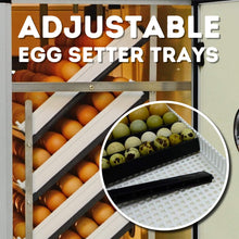 Load image into Gallery viewer, HB500 C - Egg Incubator - Setter &amp; Hatcher
