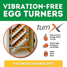 Load image into Gallery viewer, HB500 C - Egg Incubator - Setter &amp; Hatcher
