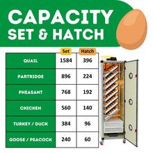 Load image into Gallery viewer, HB700 C - Egg Incubator - Setter &amp; Hatcher

