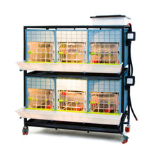Load image into Gallery viewer, Chick Brooder - 2 Layer H: 15&quot;
