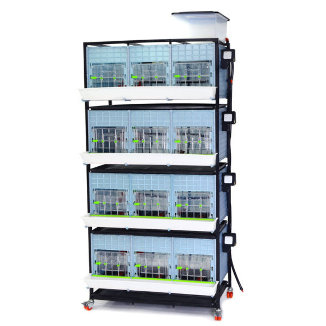 Chick Brooder - 4 Layer H: 15