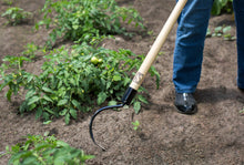 Load image into Gallery viewer, OGDEN CobraHead Long Handle Weeder &amp; Cultivator Garden Tool
