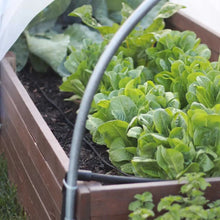 Load image into Gallery viewer, Watering - Raised Bed Drip Irrigation Kit
