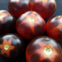 Load image into Gallery viewer, Goluboy Les (Blue Forest) Tomato
