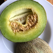 Load image into Gallery viewer, Green Nutmeg Melon
