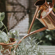 Load image into Gallery viewer, Haws Gardener Gift Set - Rowley Ripple &amp; Spritzer
