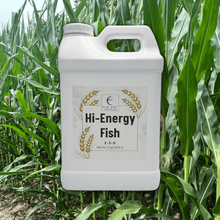 Load image into Gallery viewer, Hi-Energy Fish 2-3-0
