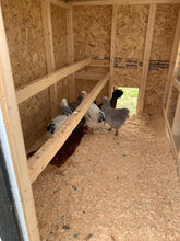 Load image into Gallery viewer, Large Chicken Coop - Up to 15 Chickens
