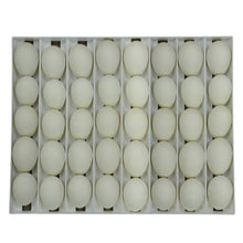 Load image into Gallery viewer, Egg Setter Tray - Goose - 40 Eggs
