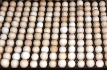 Load image into Gallery viewer, Egg Setter Tray - Partridge - 154 Eggs
