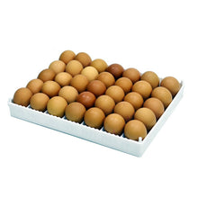 Load image into Gallery viewer, Egg Setter Tray (Flexy35Y)
