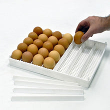 Load image into Gallery viewer, Egg Setter Tray (Flexy35Y)
