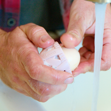 Load image into Gallery viewer, Deluxe Egg Cleaning Kit

