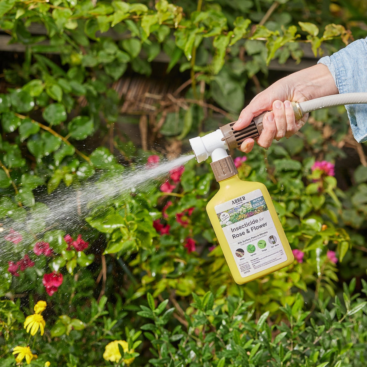 Organic Insecticide for Rose & Flower – Countryside
