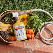 Load image into Gallery viewer, Organic Insecticide for Tomato &amp; Vegetable
