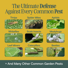 Load image into Gallery viewer, Organic Bio Insecticide
