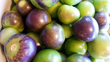 Load image into Gallery viewer, Purple de Milpa Tomatillos
