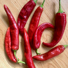 Load image into Gallery viewer, San Felipe Pepper

