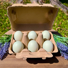 Load image into Gallery viewer, Henlay Duck Egg Cartons - Holds Half Dozen Jumbo Eggs- Blank Flat Top, 2 colors, 20 or 100
