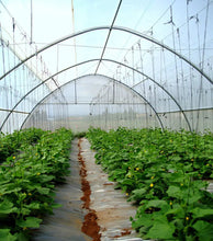 Load image into Gallery viewer, Greenhouse Woven Plastic 11 mil- Solarig 182
