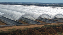 Load image into Gallery viewer, Greenhouse Woven Plastic 11 mil- Solarig 182
