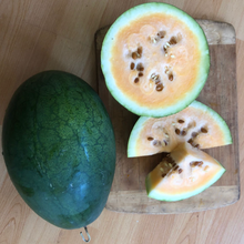 Load image into Gallery viewer, Full Seed CSA Share - 50 Varieties Curated for Your Area!

