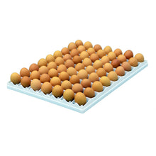 Load image into Gallery viewer, Egg Setter Tray - Chicken - 80 Eggs

