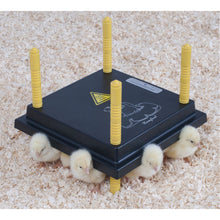 Load image into Gallery viewer, Heating Plate for Chicks (10&quot; x 10&quot;) for 15-20 chicks
