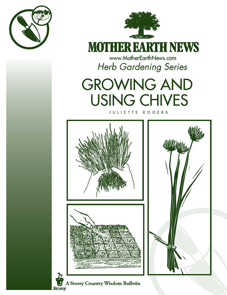 Growing And Using Chives, E-Handbook – Countryside