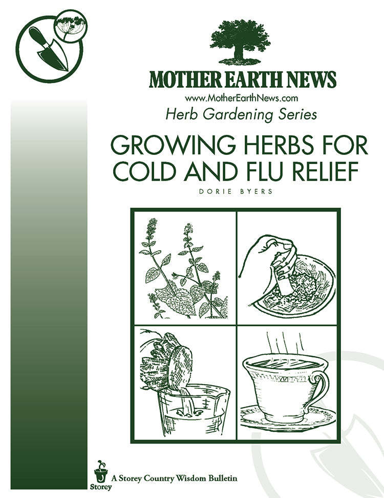 GROWING HERBS FOR COLD AND FLU RELIEF, E-HANDBOOK