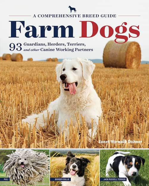 FARM DOGS