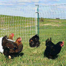 Load image into Gallery viewer, POULTRYNET PLUS 12/42/3 STARTER KIT (BLACK/WHITE)
