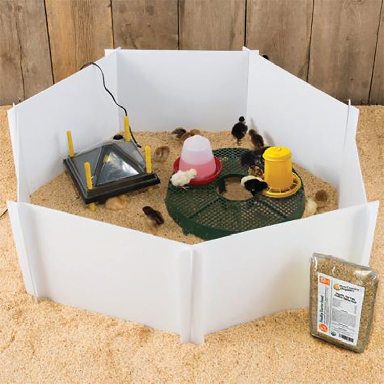 Chicken Brooder Kit With Heating Plate – Countryside