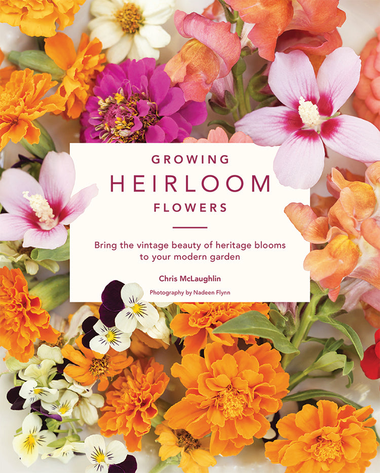 GROWING HEIRLOOM FLOWERS