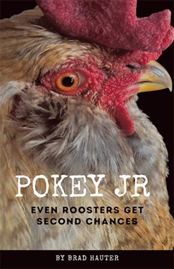 POKEY JR: EVEN ROOSTERS GET SECOND CHANCES